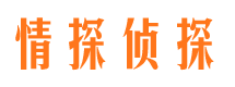 陇南找人公司